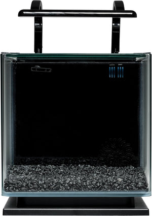 Small aquarium with black gravel and a black stand on a white background at Pet Servo