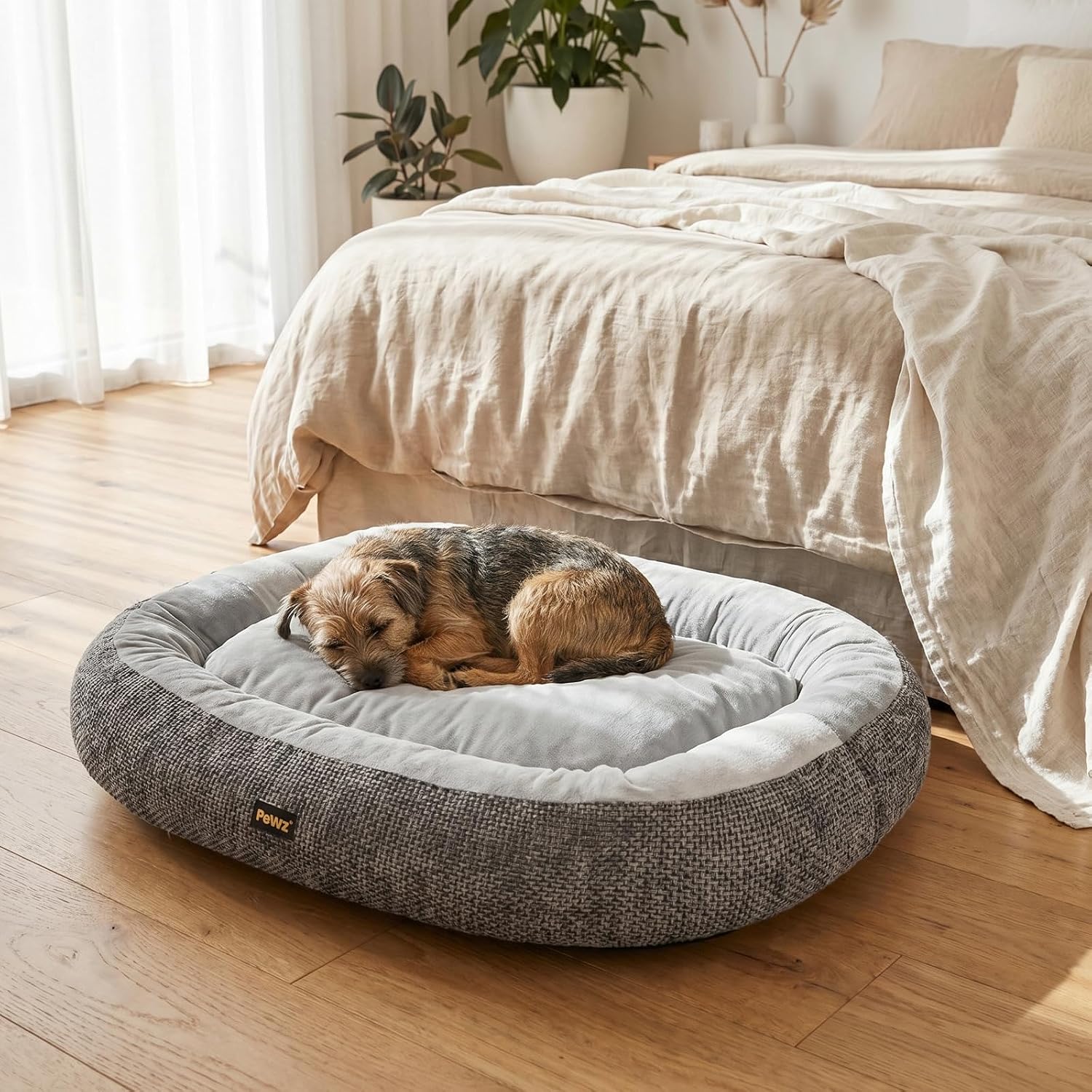 PaWz Orthopedic Dual-Layer Foam Dog Bed with Plush Cushion Top with Machine Washable Cover at Pet Servo