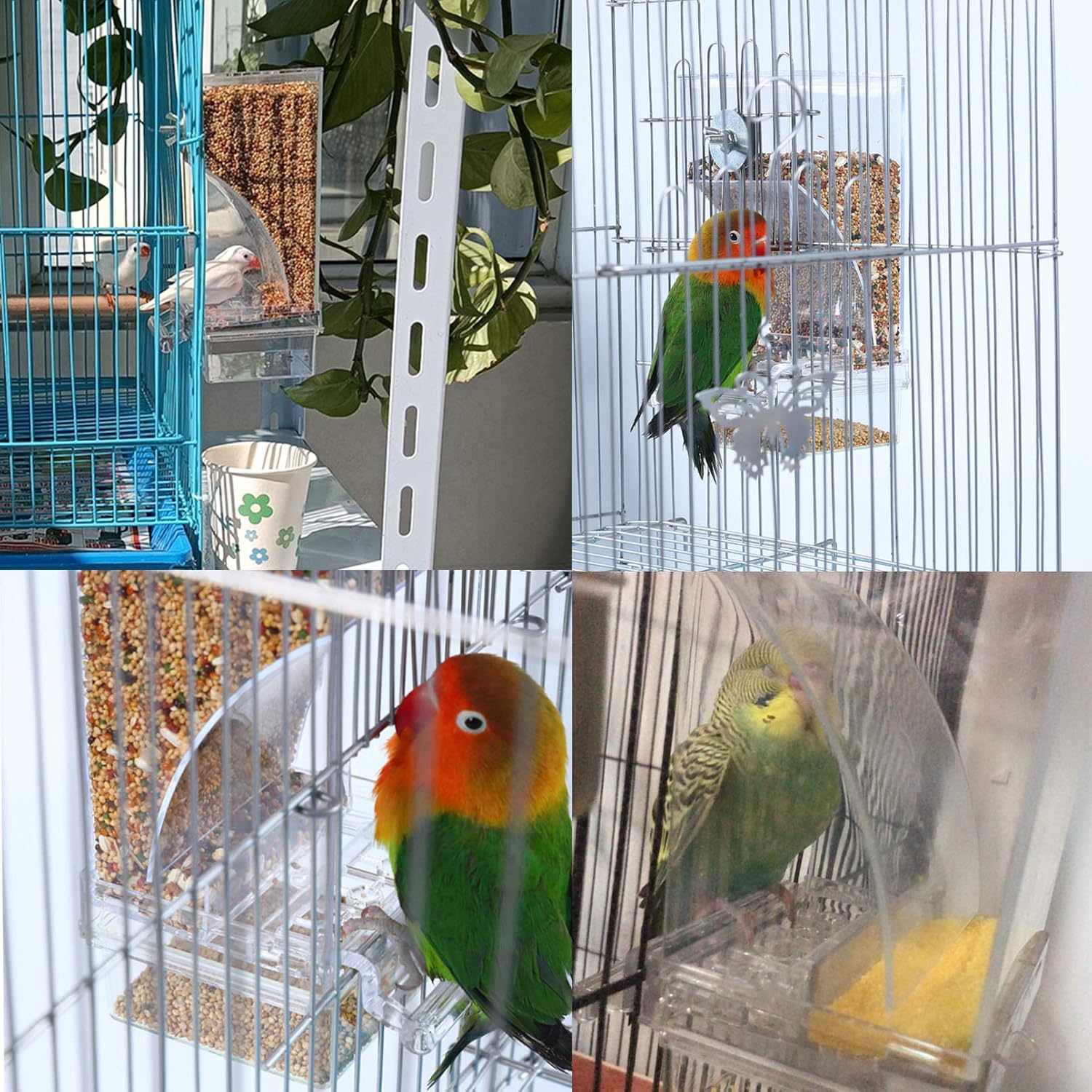 Collage of birds in cages with food and perches at Pet Servo