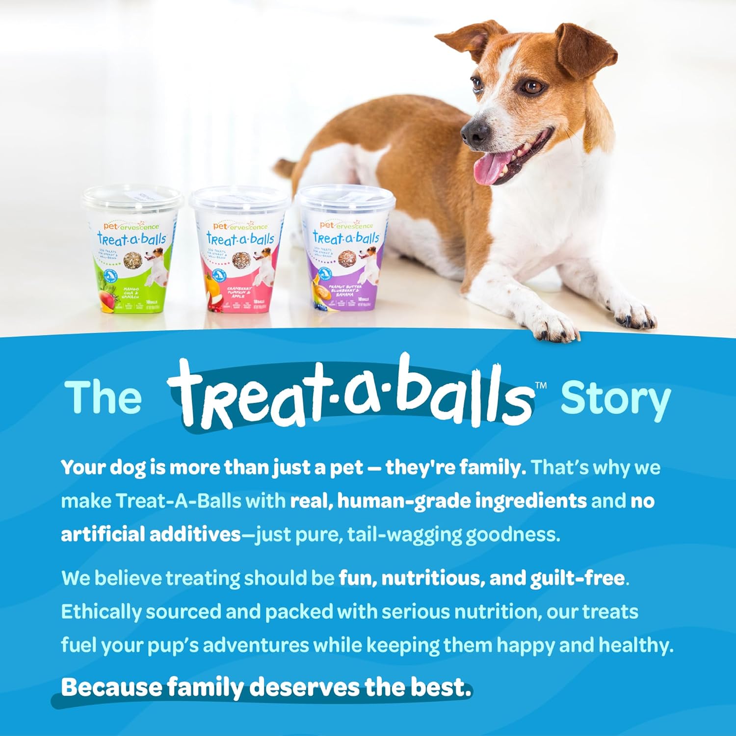 Dog with Treat-A-Balls products and promotional text on a blue background at Pet Servo