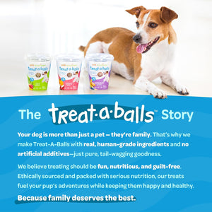 Dog with Treat-A-Balls products and promotional text on a blue background at Pet Servo