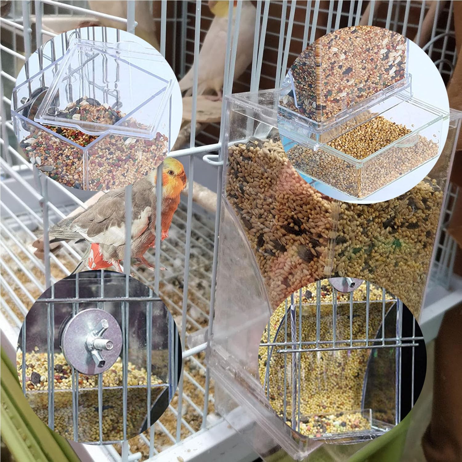 Bird cage with a transparent seed tray and bird seeds inside at Pet Servo