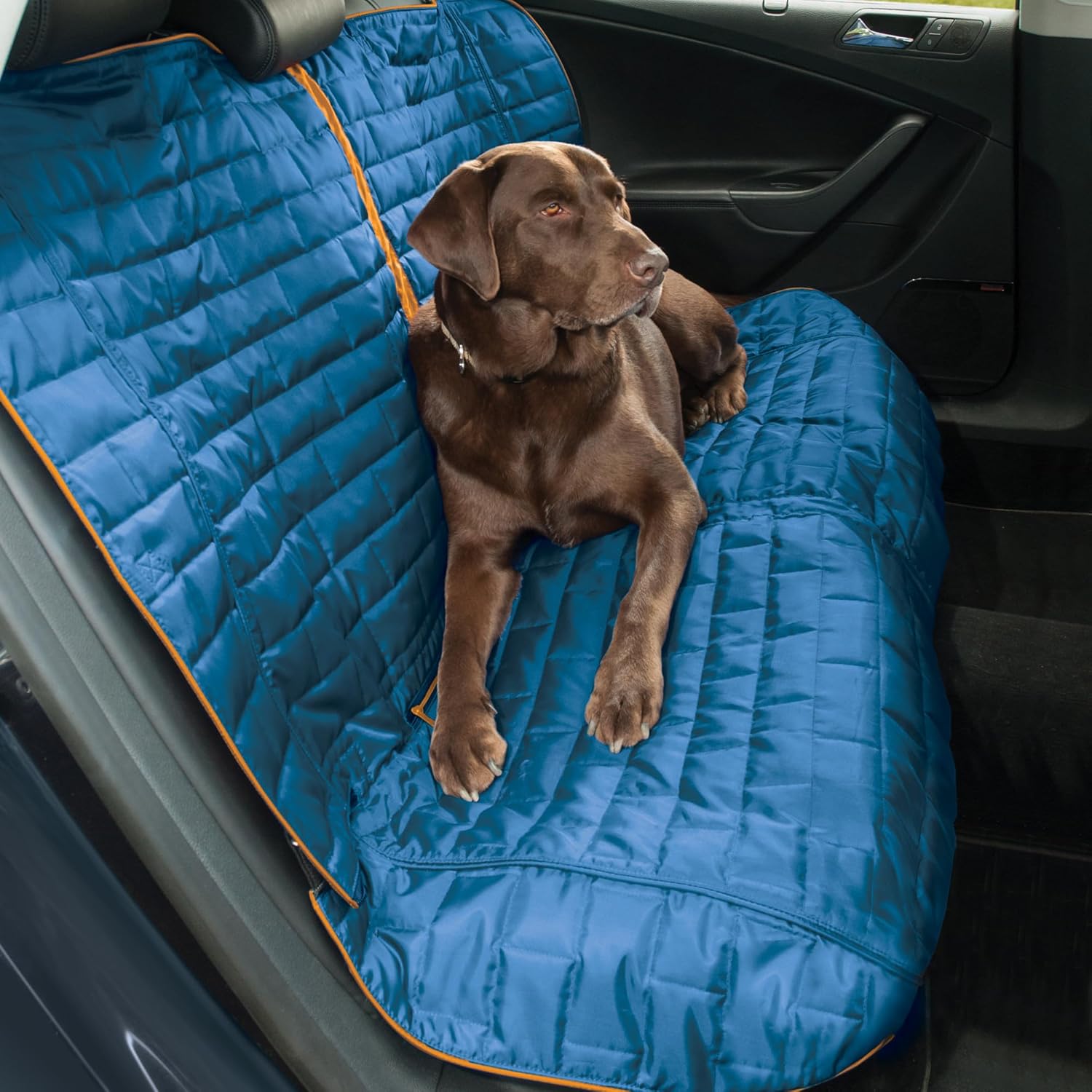 Dog sitting on a blue car seat cover inside a vehicle at Pet Servo