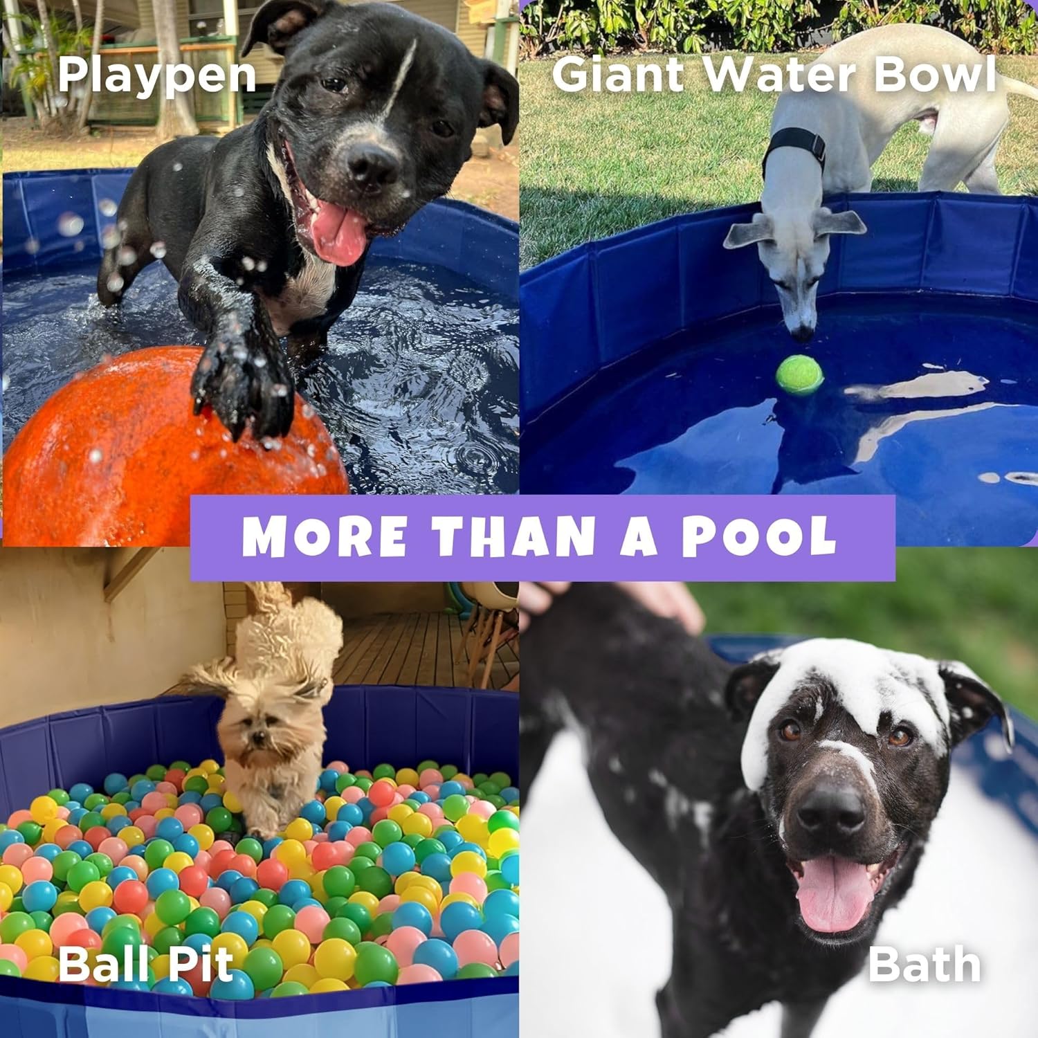 Collage of dogs interacting with a pool, including playpen, giant water bowl, ball pit, and bath at Pet Servo