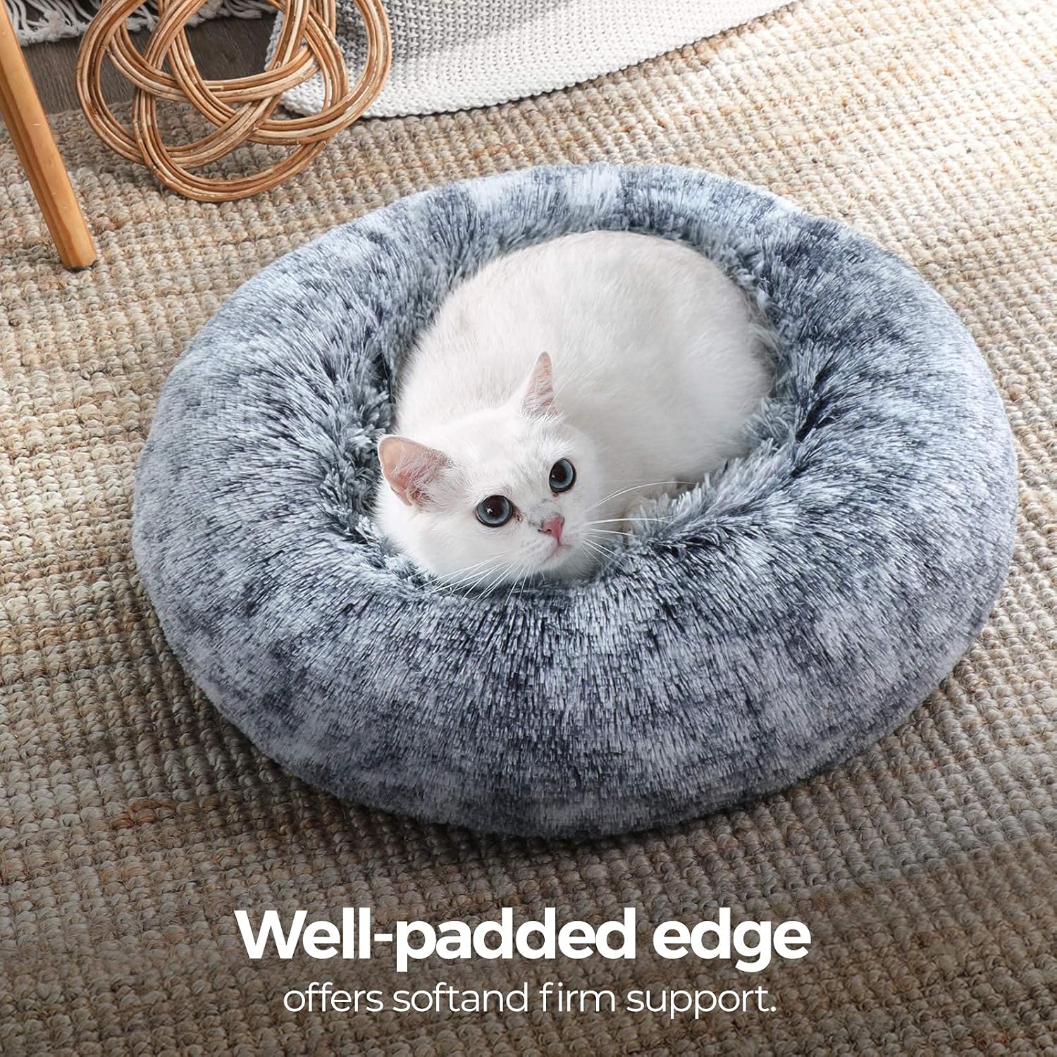 White cat in a gray pet bed on a textured floor at Pet Servo