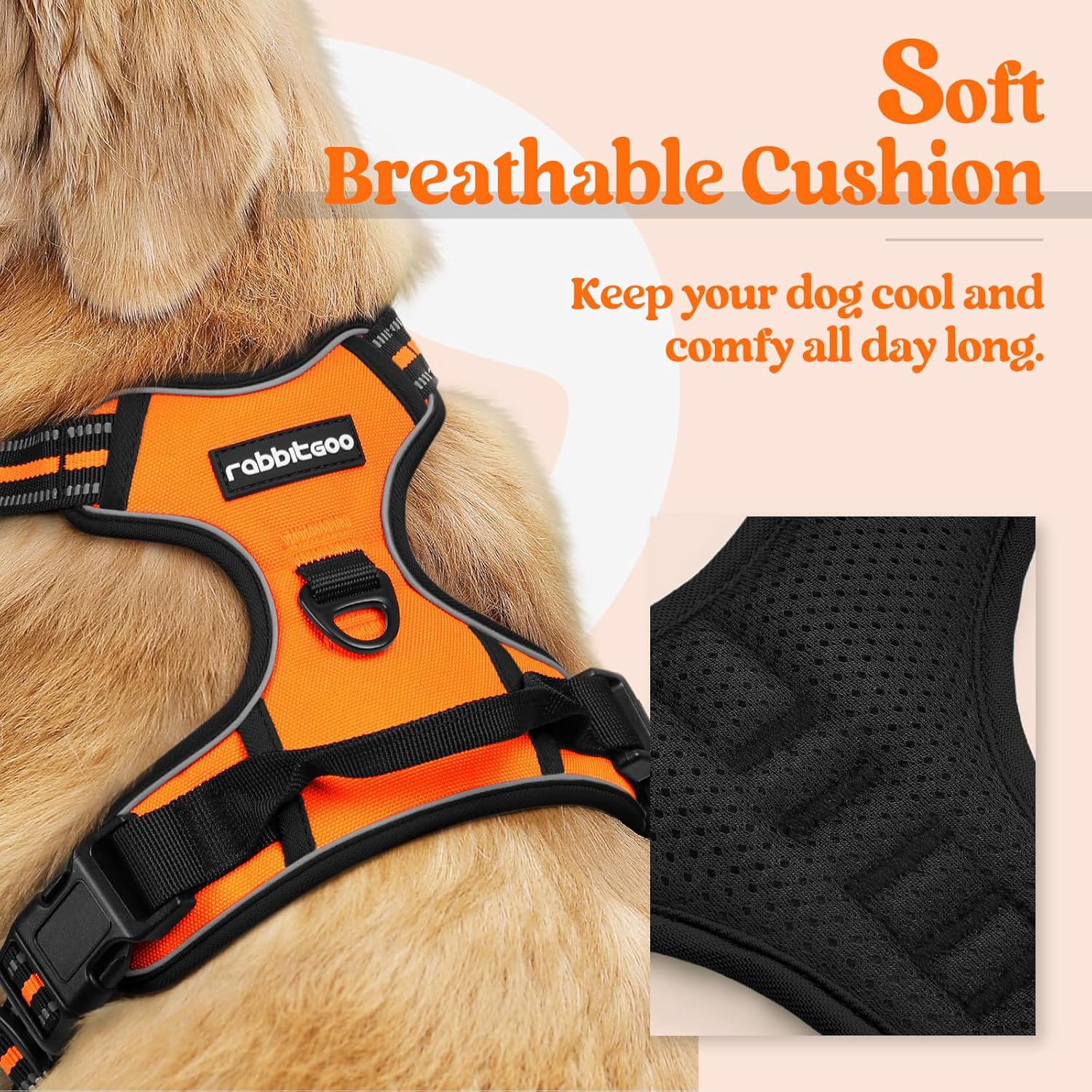 Rabbitgoo - Outdoor Adjustable Pet Harness (Orange) at Pet Servo