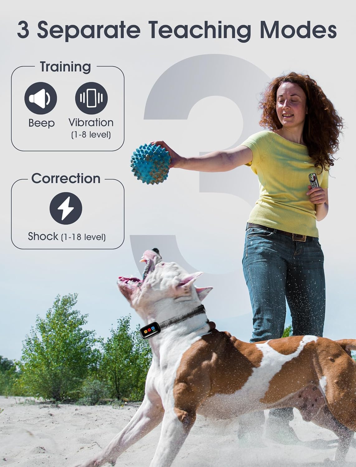 Woman playing with a dog on a beach, with text about 3 separate teaching modes for training and correction at Pet Servo