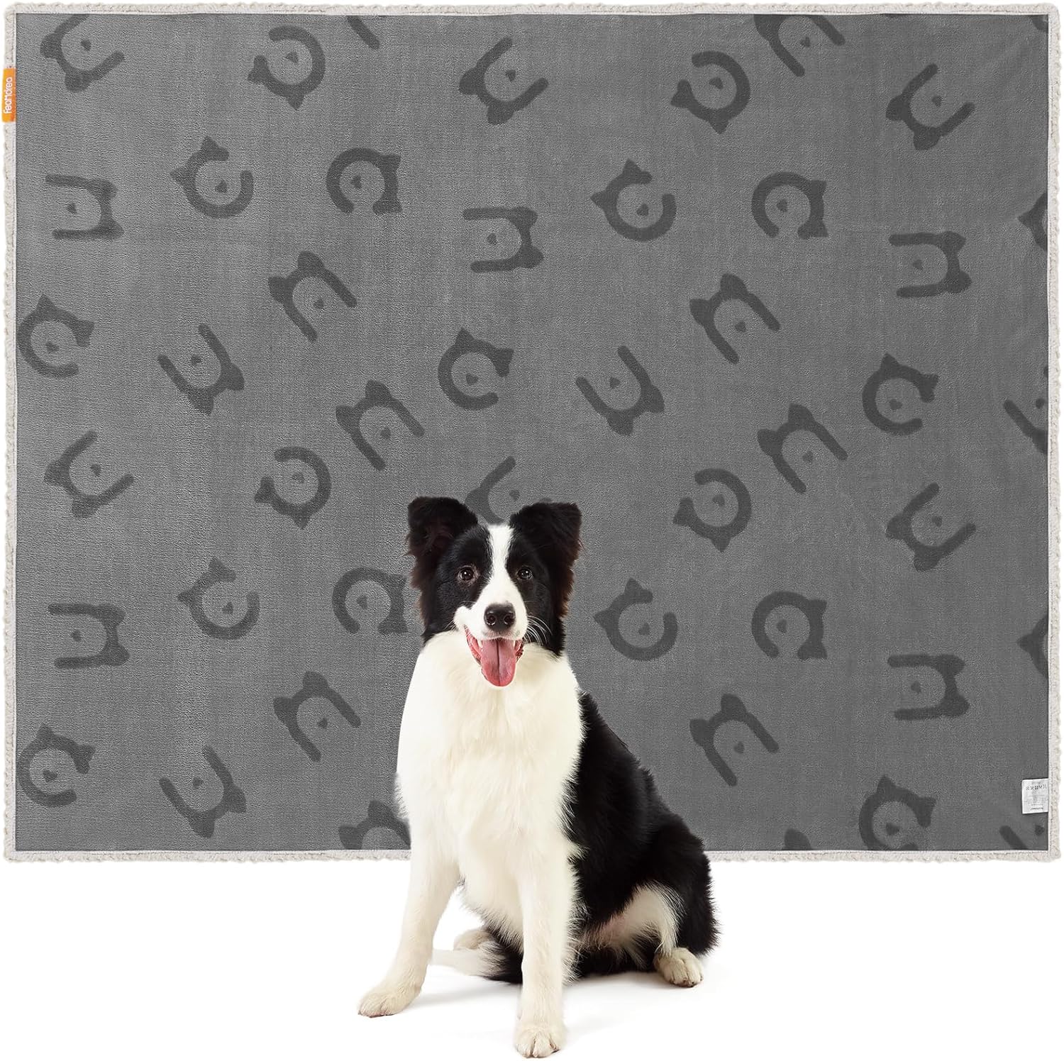 Dog sitting on a gray mat with black paw print pattern at Pet Servo