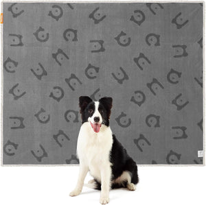 Dog sitting on a gray mat with black paw print pattern at Pet Servo
