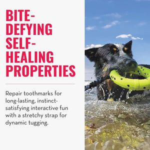 Dog playing with a green toy in water, with text about bite-defying self-healing properties at Pet Servo