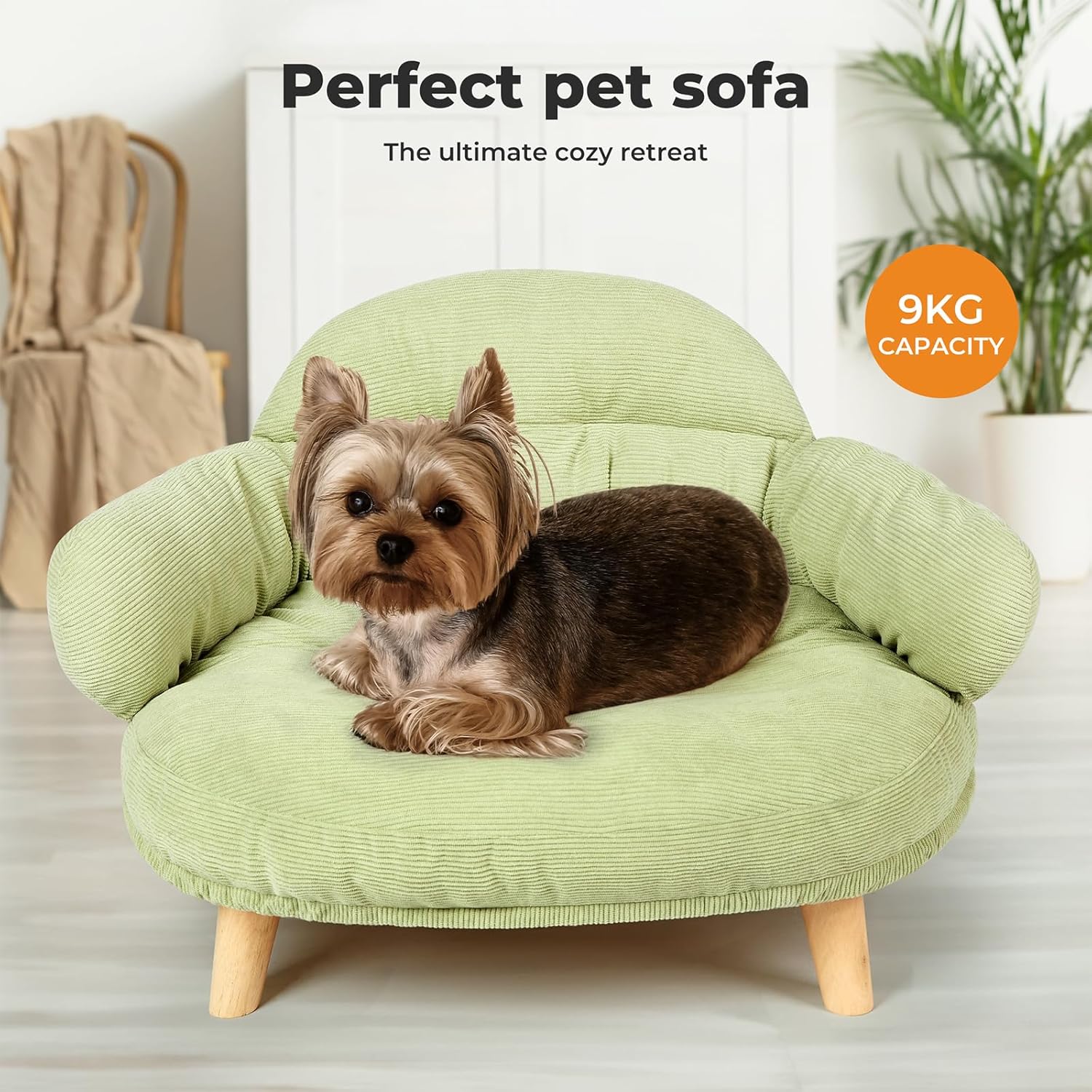 Green pet sofa with a dog on it, labeled as 'Perfect pet sofa' and 'The ultimate cozy retreat' at Pet Servo