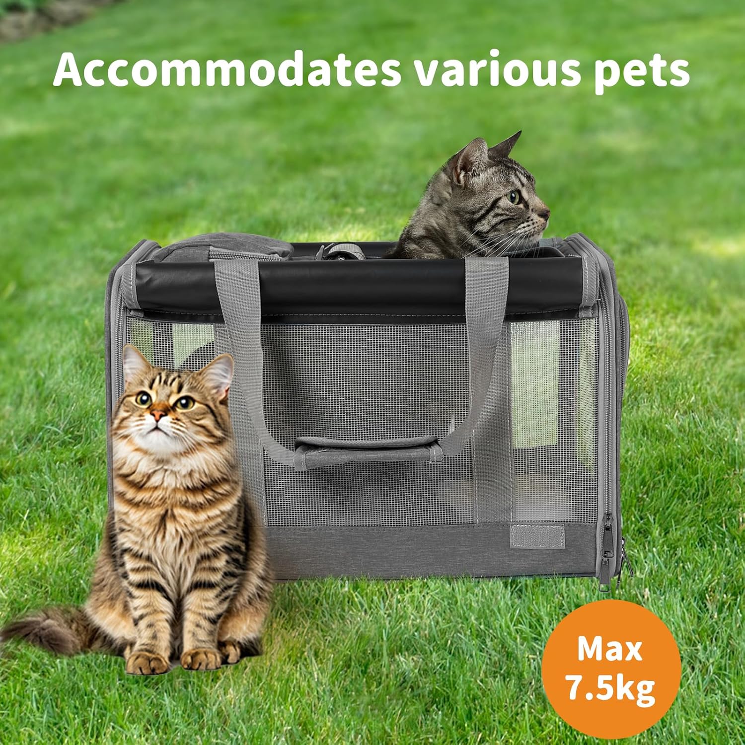 Gray mesh pet carrier with two cats sitting on and beside it on a green grass lawn. White text at the top reads 'Accommodates various pets' and an orange circle at the bottom right says 'Max 7 at Pet Servo
