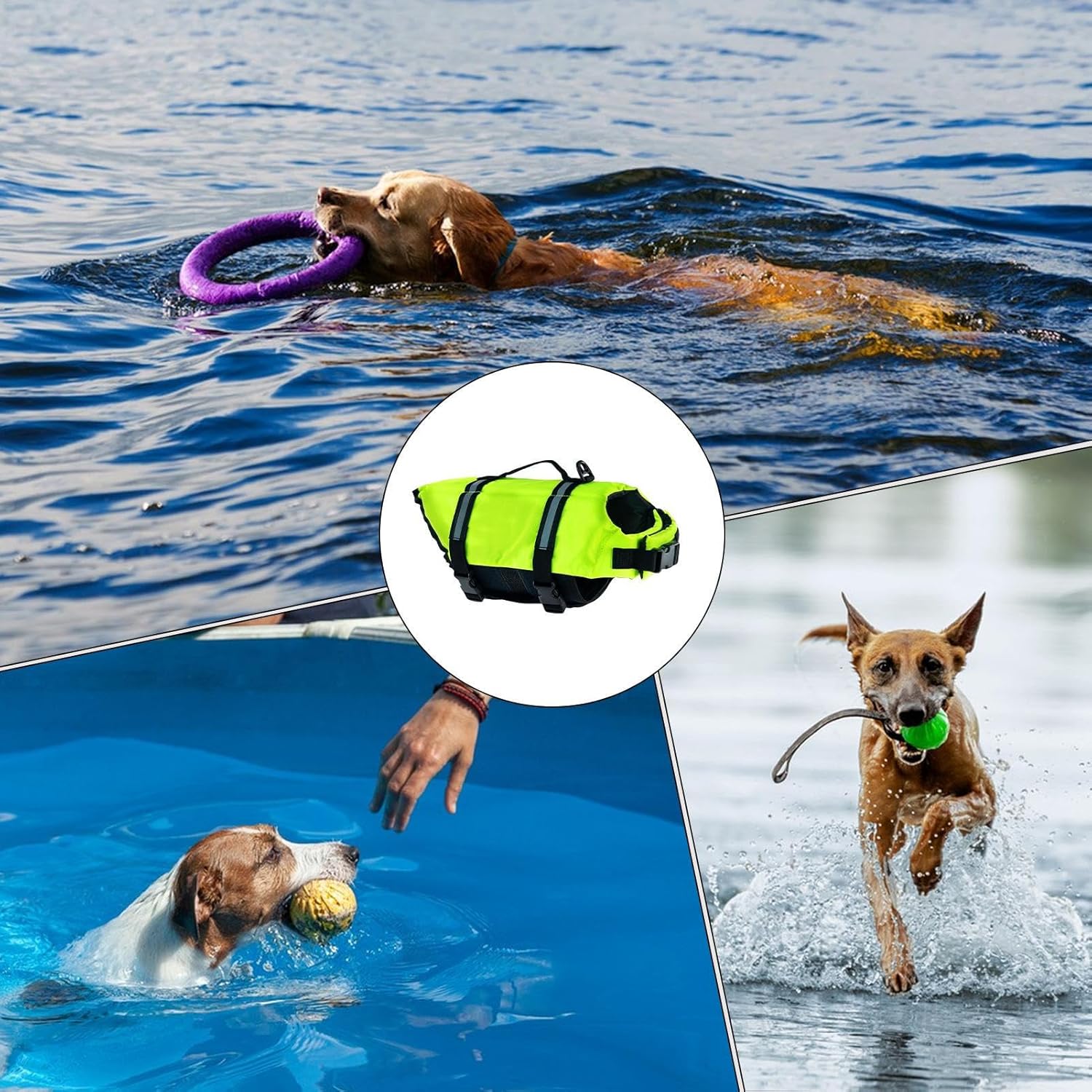 Dog playing with a toy in water, inset showing a green dog life jacket, and another dog running on water at Pet Servo