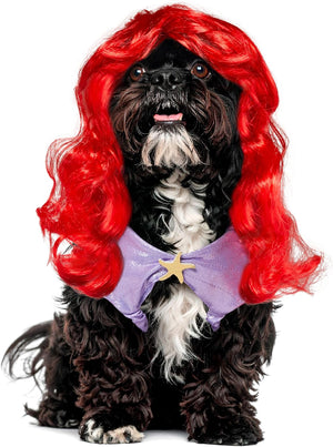 A small black and white dog wearing a bright red mermaid-style wig and a purple costume collar with a gold star, photographed against a plain white background at Pet Servo