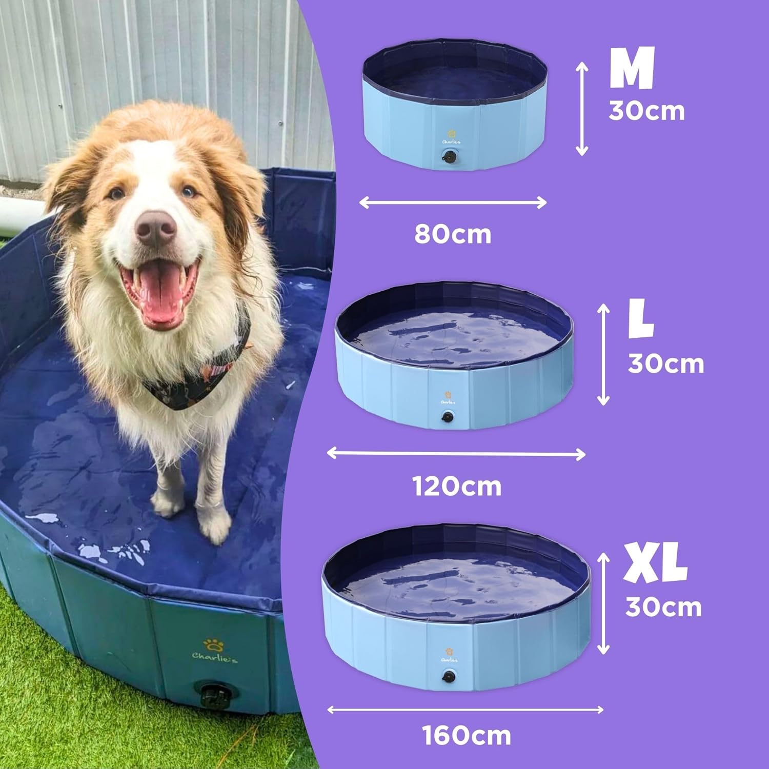Dog standing in a blue pet pool with size chart on a purple background at Pet Servo