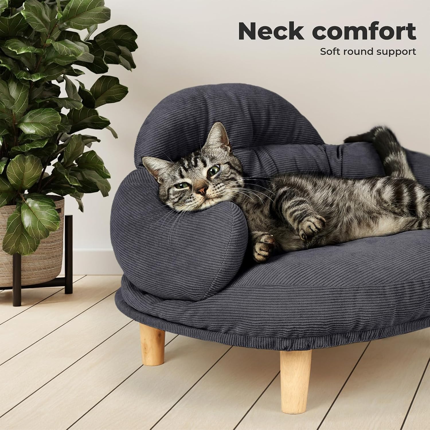 Cat lying on a small blue cushioned chair with 'Neck comfort' text above at Pet Servo