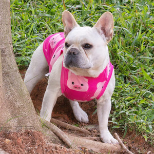 A white French Bulldog standing outdoors on dirt next to a tree trunk, wearing a bright pink dog harness with a cartoon pig pattern at Pet Servo