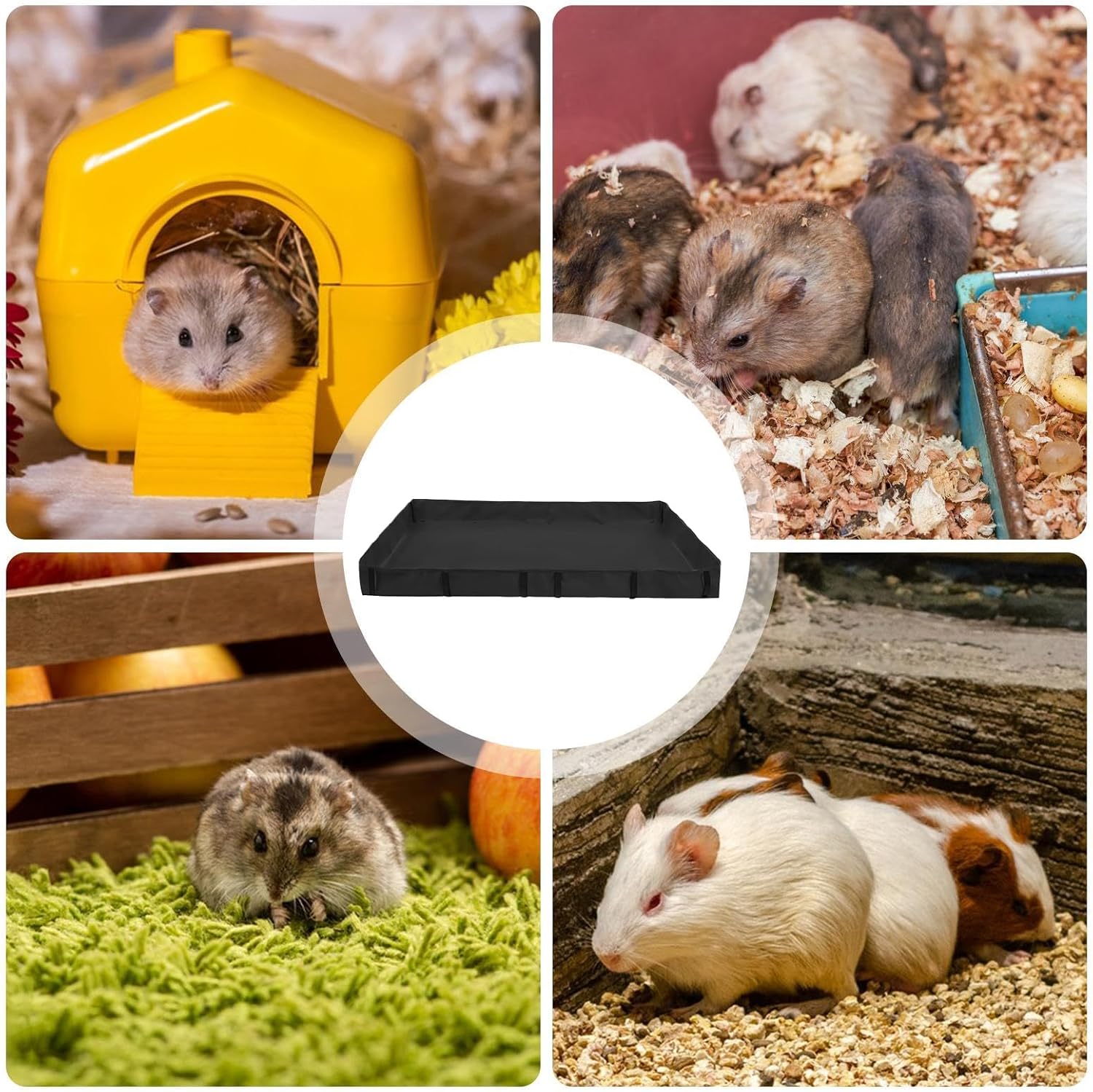 Collage of hamsters in various settings with a black platform in the center at Pet Servo