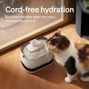 Cat drinking from a cord-free pet water fountain on a wooden floor.