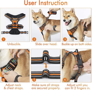 Rabbitgoo - Outdoor Adjustable Pet Harness (Orange) at Pet Servo