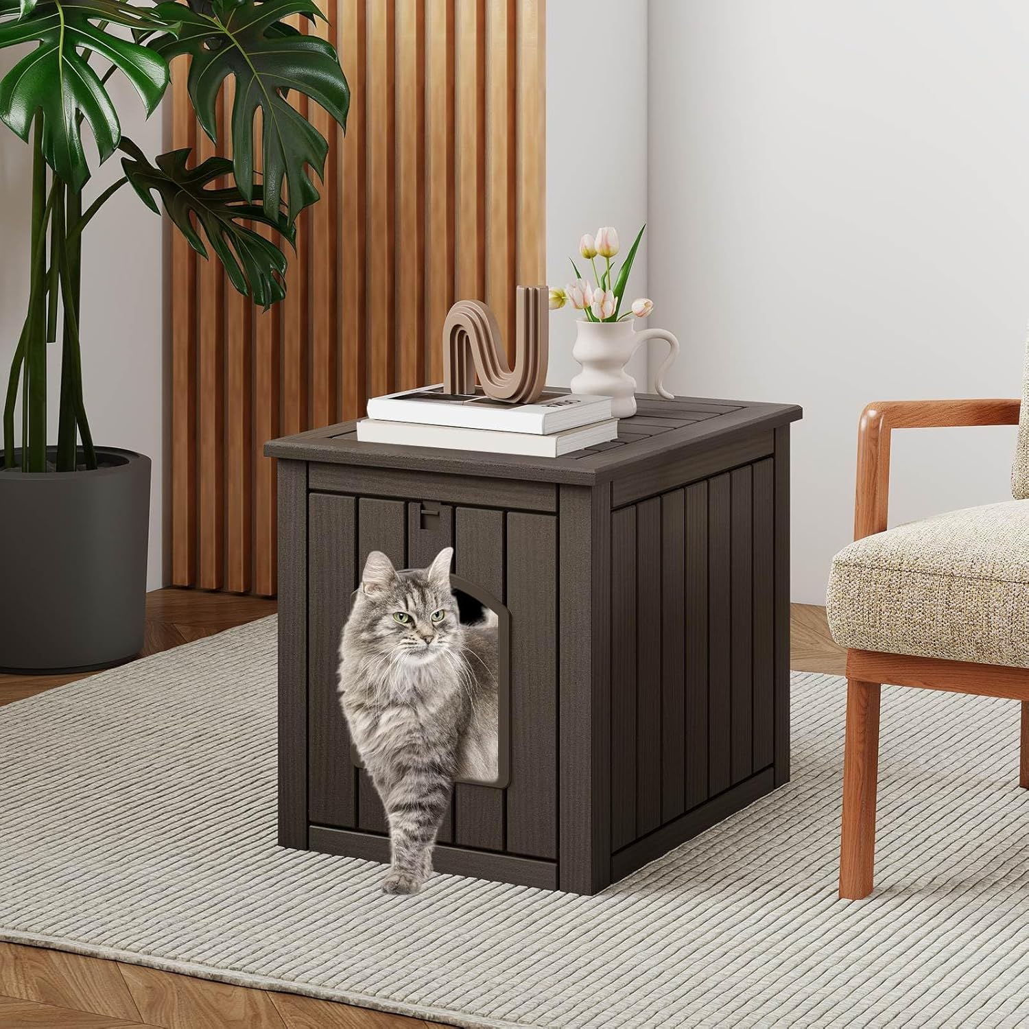 Cat house with a cat peeking out in a home setting at Pet Servo