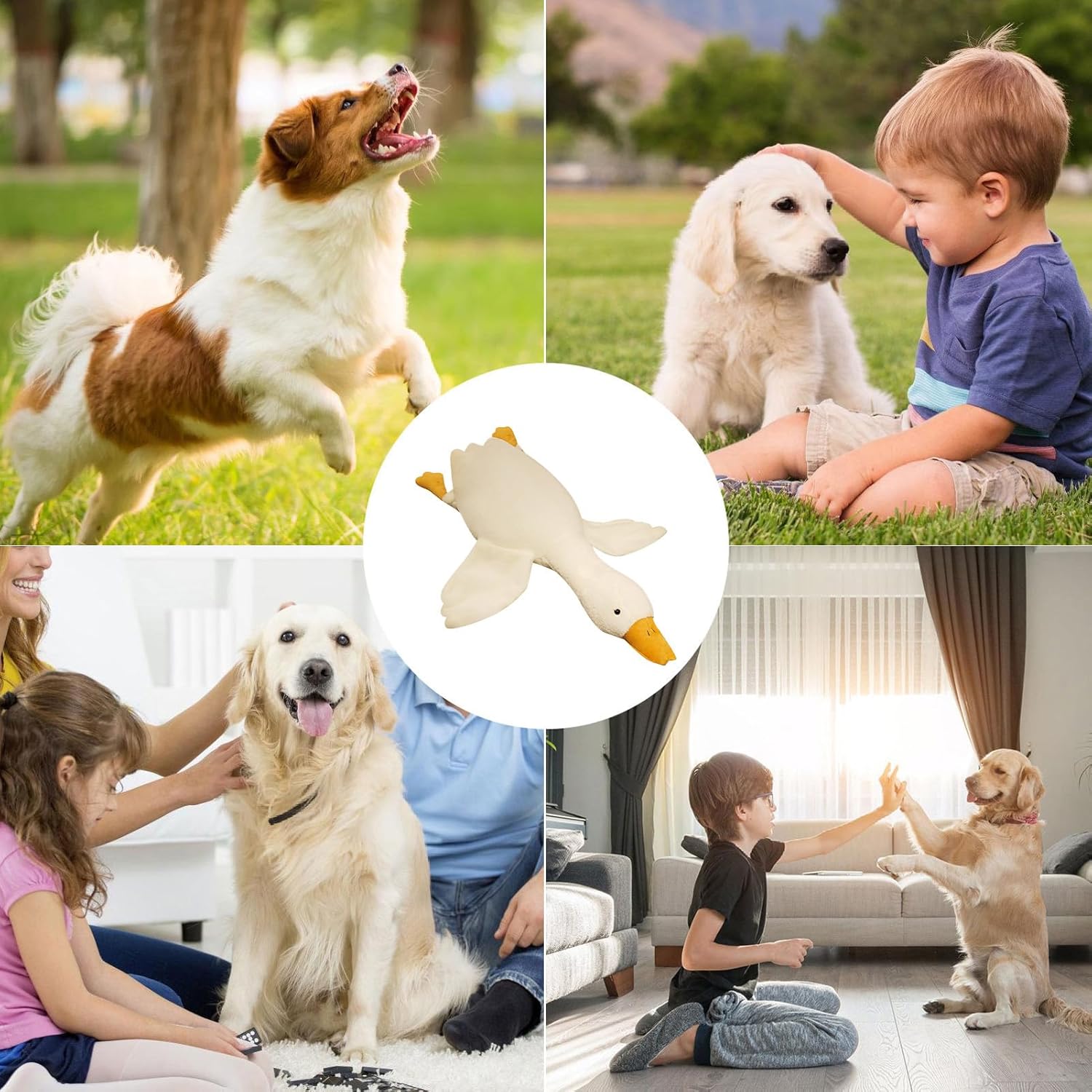 Collage of dogs with a focus on a dog toy, children interacting with dogs, and a dog giving a high-five at Pet Servo