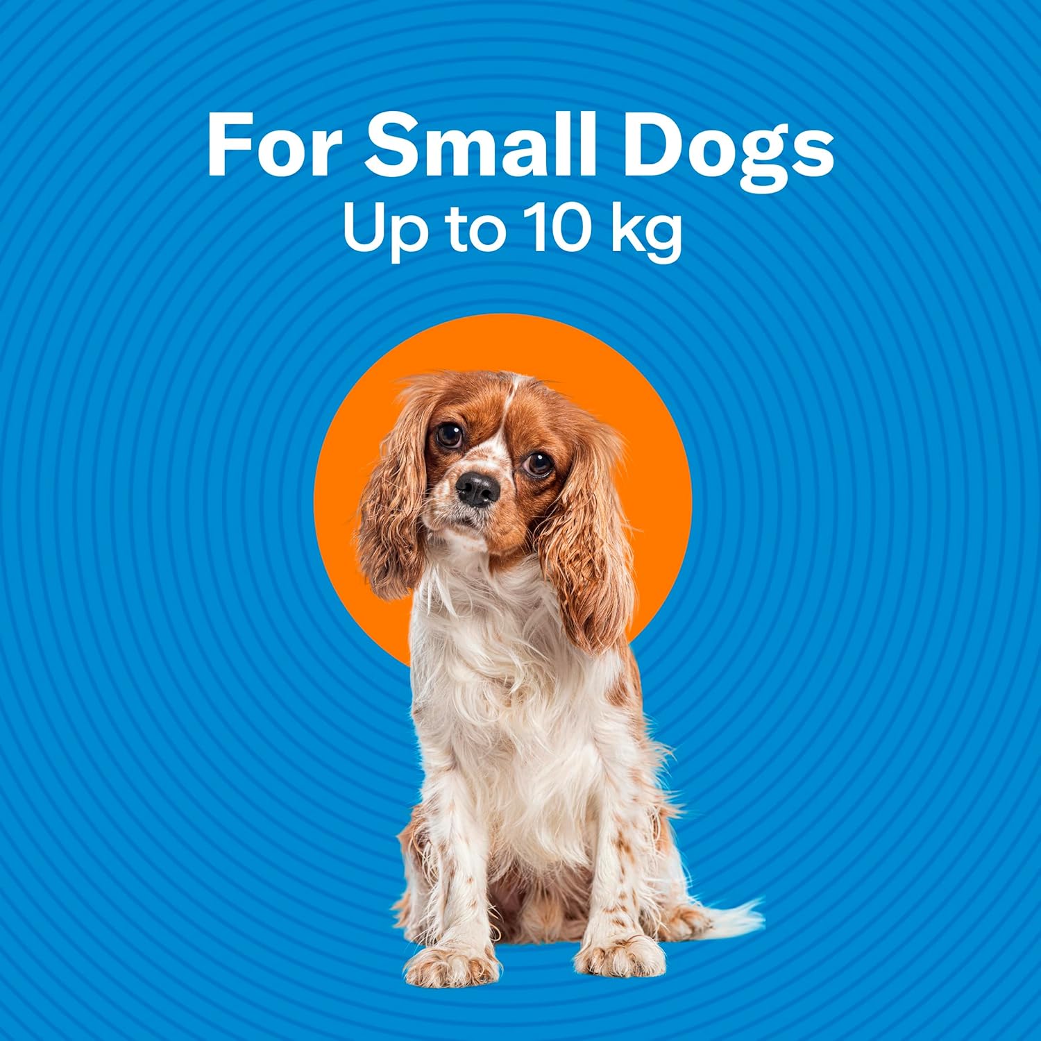 Dog sitting in an orange circle on a blue background with text indicating weight range for small dogs at Pet Servo