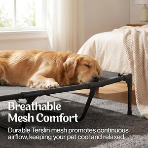 Dog lying on a breathable mesh pet cot in a cozy room at Pet Servo