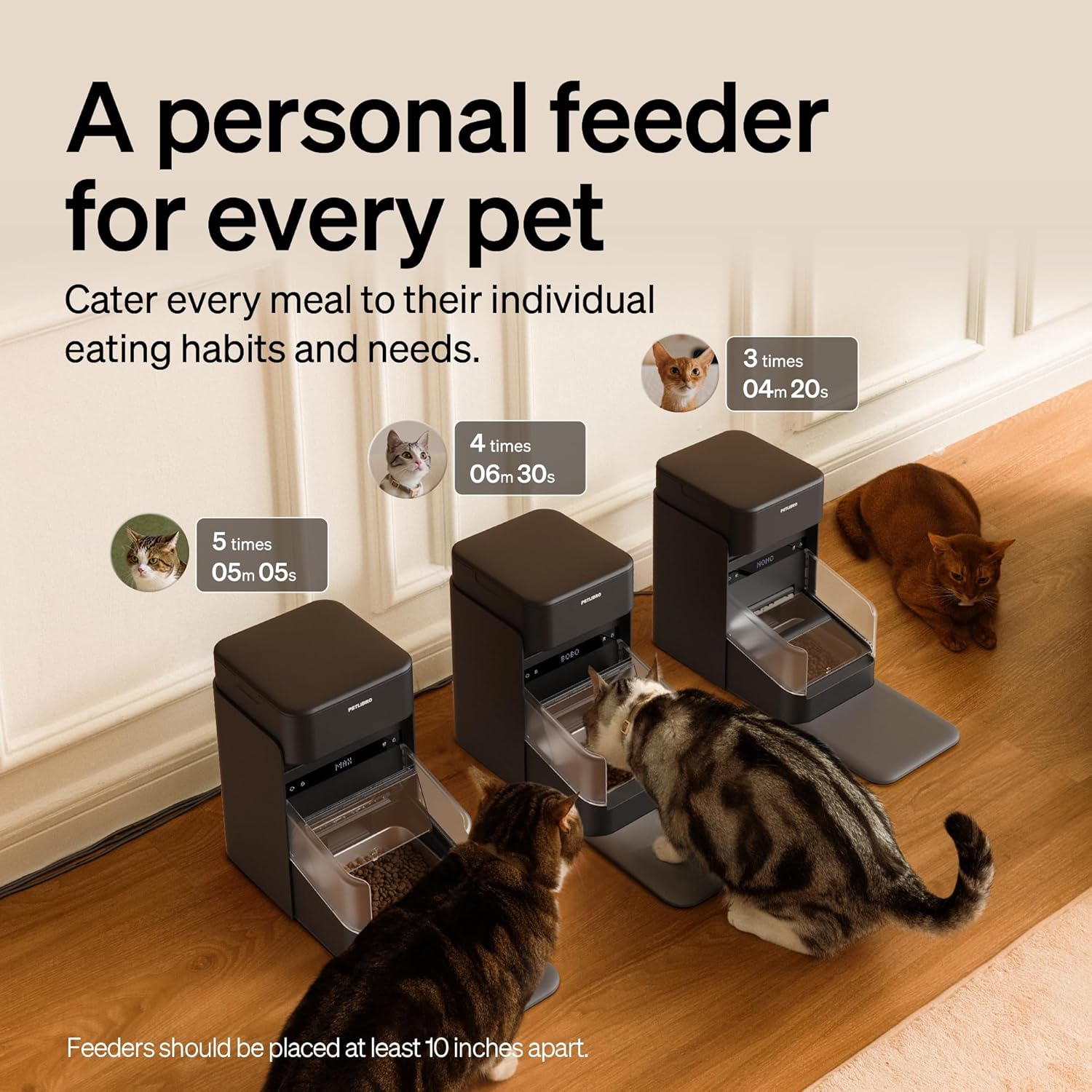 Pet feeders on a wooden floor with cats around, promoting personalized pet feeding at Pet Servo
