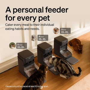 Pet feeders on a wooden floor with cats around, promoting personalized pet feeding at Pet Servo
