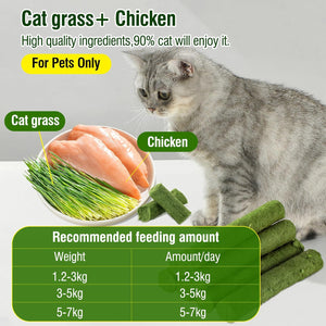 Cat grass and chicken with a cat looking at them, on a gray background at Pet Servo