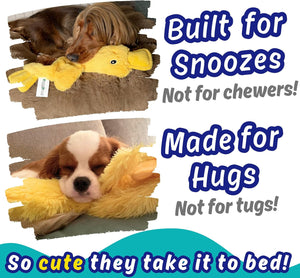 A promotional graphic for a yellow plush dog toy, showing two sleeping dogs hugging the toy. Large blue text reads 'Built for Snoozes Not for chewers!' and 'Made for Hugs Not for tugs!' with a teal banner at the bottom reading 'So cute they take it to bed!' at Pet Servo