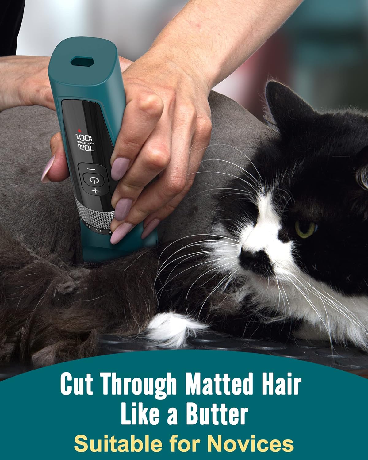 oneisall - Cat Clippers for Matted Hair, 5-Speed Quiet Cat Grooming kit