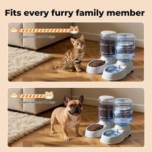 Pet feeding station with bowls and water dispenser on a wooden floor, featuring a cat and a dog at Pet Servo