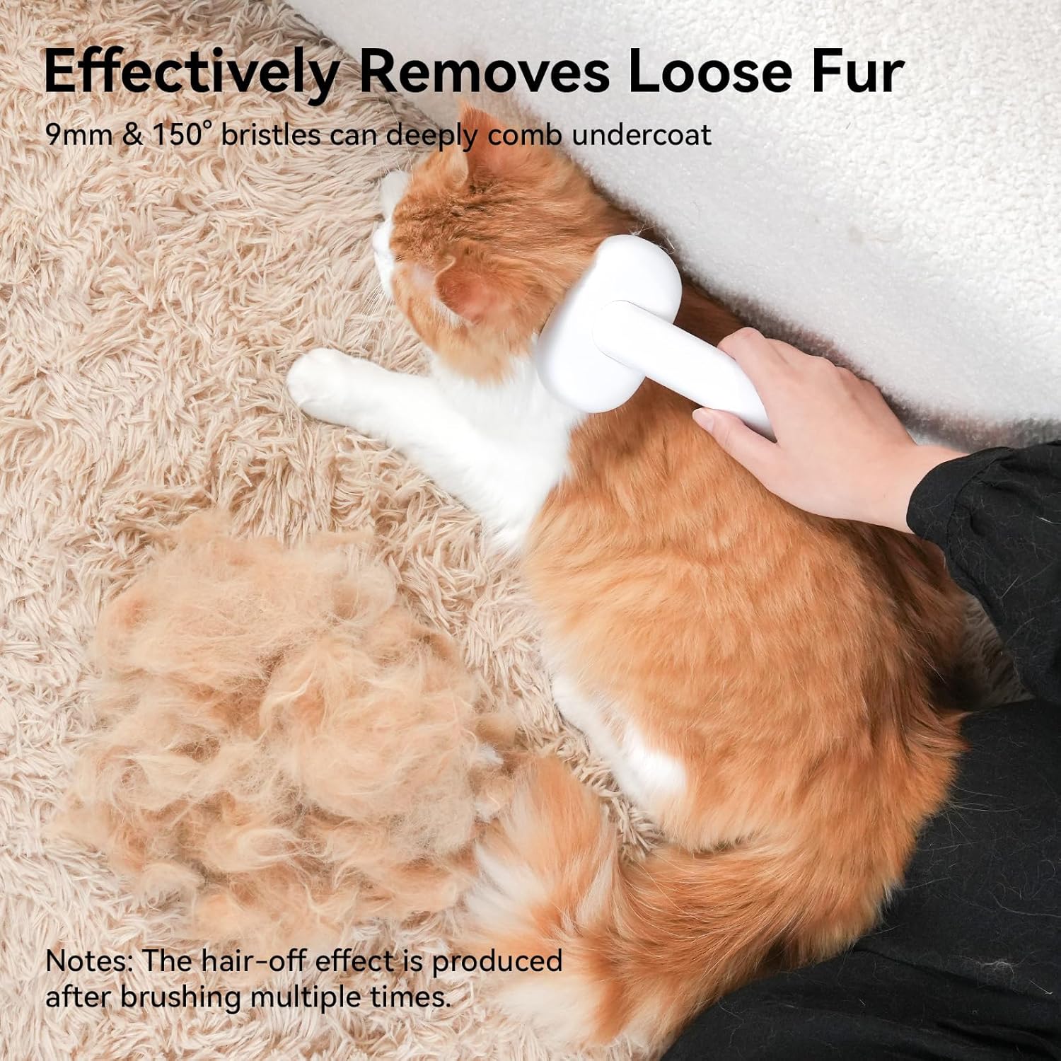 Cat being brushed with a pet grooming tool on a carpet at Pet Servo