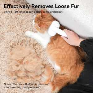 Cat being brushed with a pet grooming tool on a carpet at Pet Servo