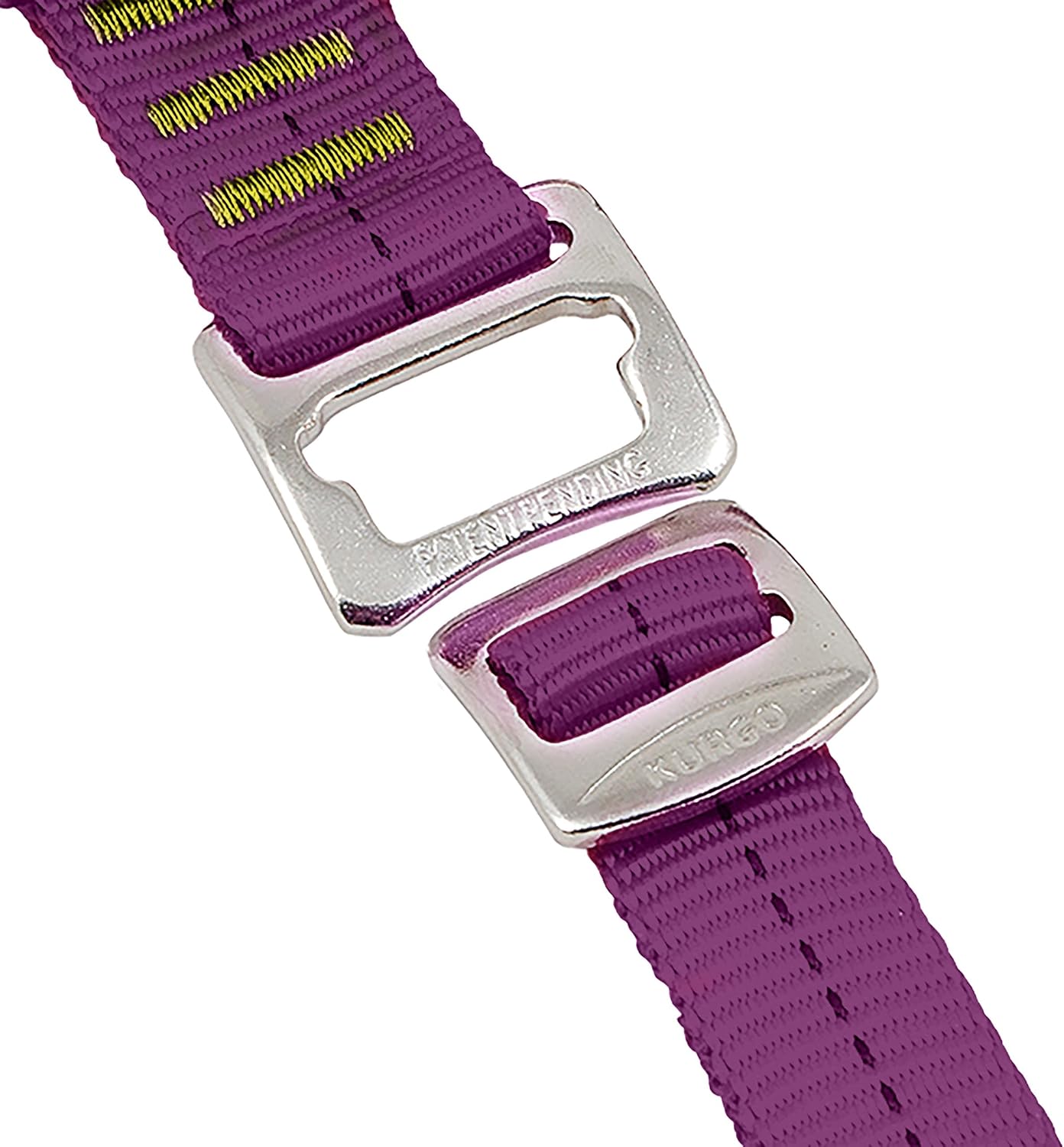 Close-up of a purple strap with a silver buckle on a white background at Pet Servo