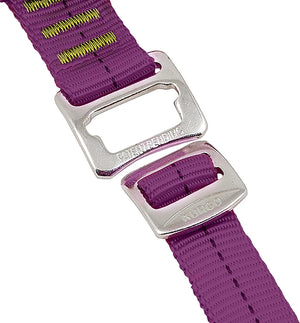 Close-up of a purple strap with a silver buckle on a white background at Pet Servo