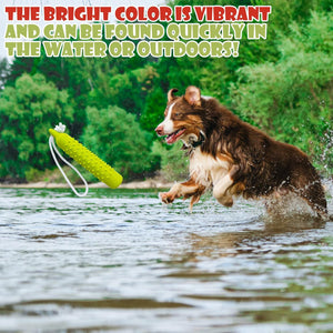Dog playing with a green toy in water with text about the bright color being vibrant at Pet Servo