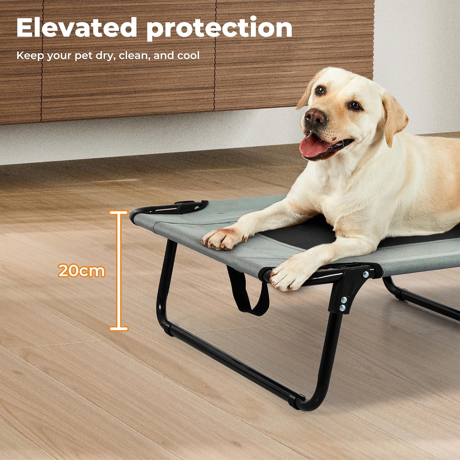 Dog lying on an elevated pet bed with a measurement label, indoors at Pet Servo