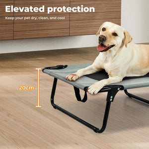 Dog lying on an elevated pet bed with a measurement label, indoors at Pet Servo