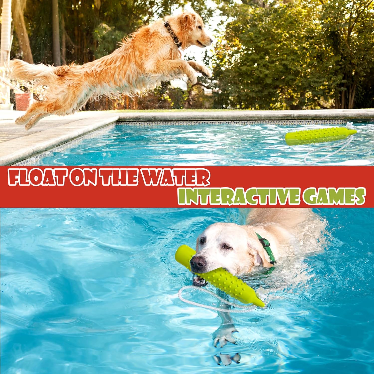 Two dogs playing with green toys in a pool, with text promoting interactive games at Pet Servo