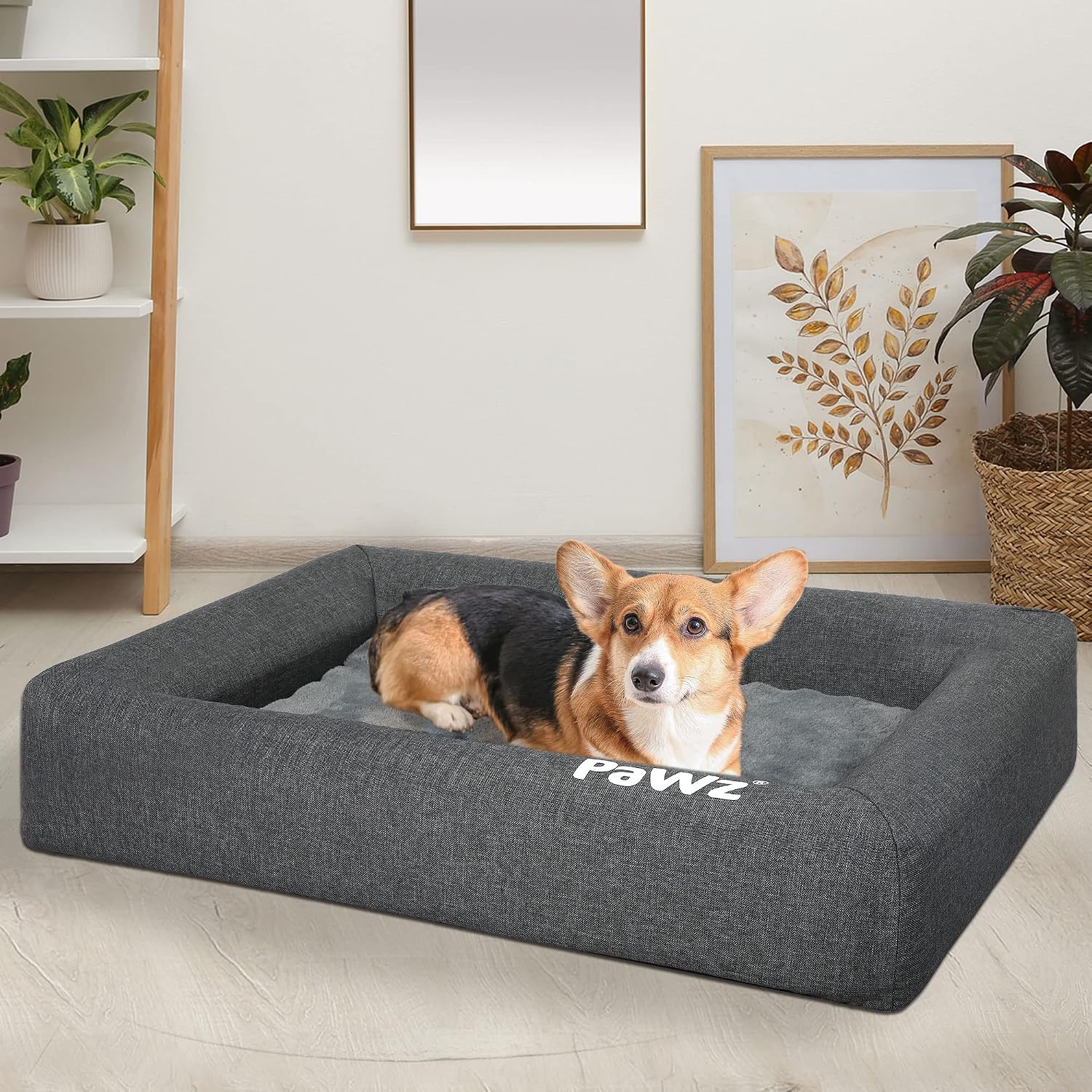 Dog lying on a gray 'PaWz' branded pet bed in a room with plants and decor at Pet Servo