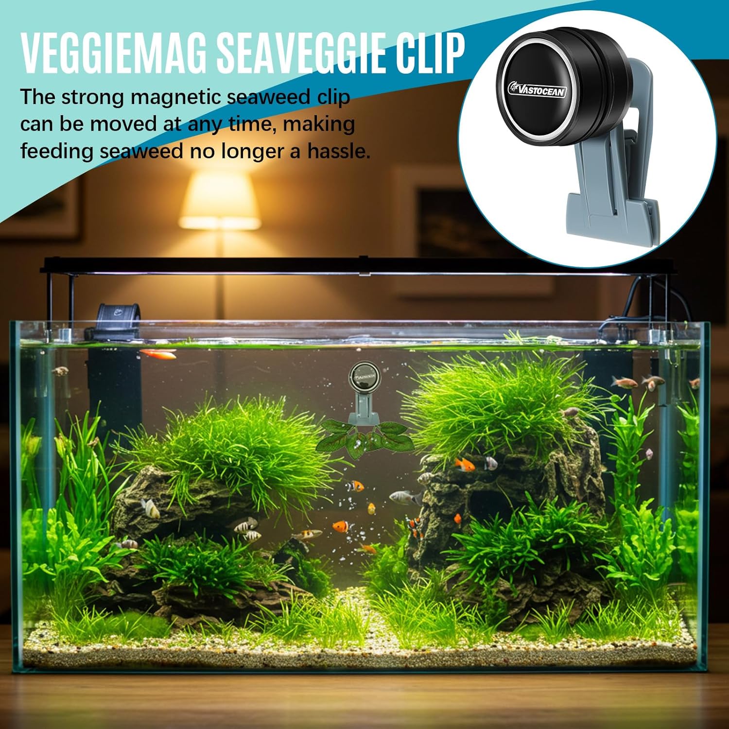 Aquarium with magnetic seaweed clip and Veggiemag branding at Pet Servo