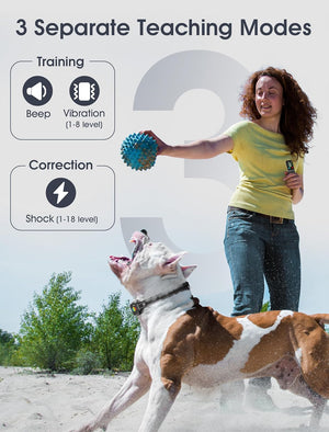 Woman playing with a dog on a sandy beach, with text about 3 separate teaching modes for a device at Pet Servo
