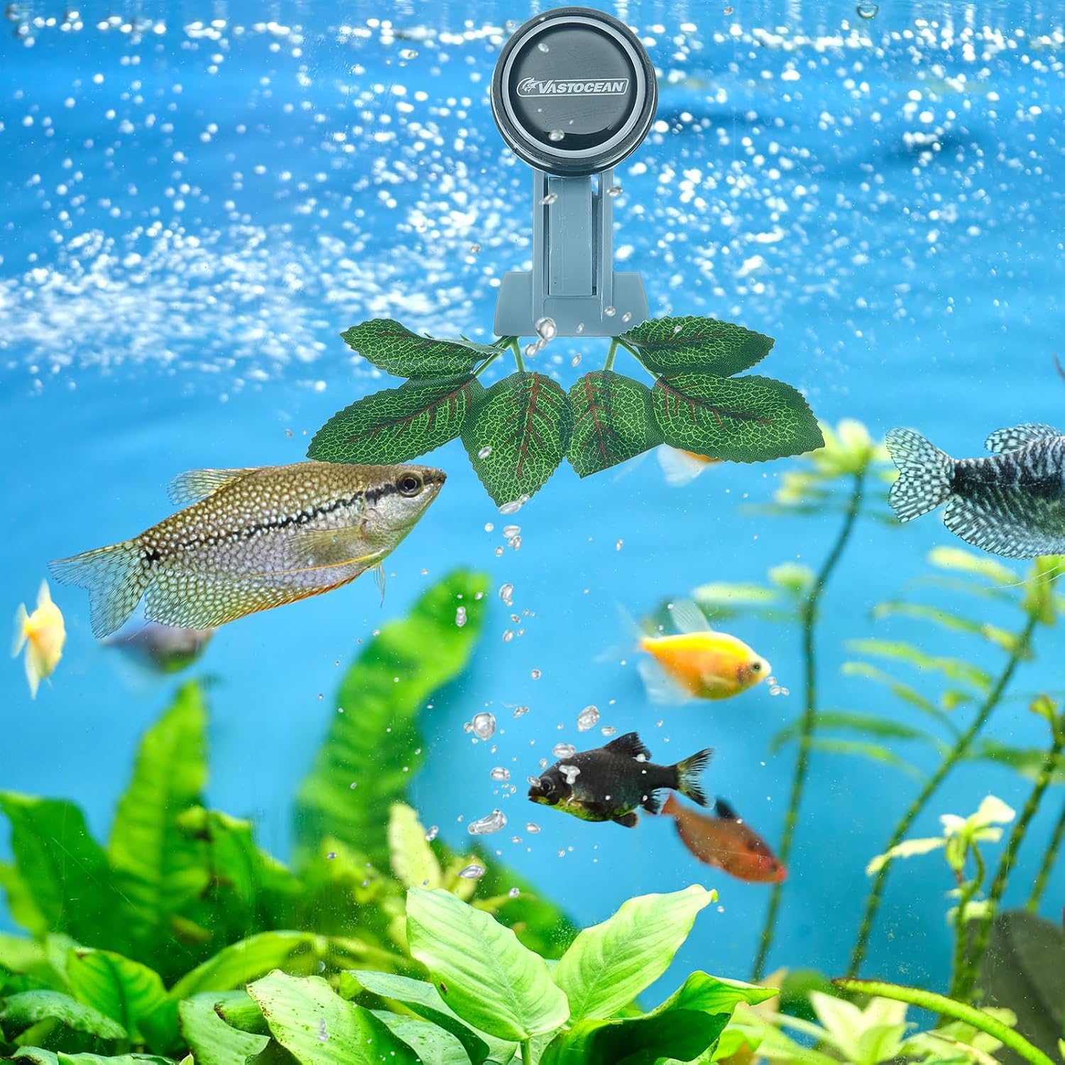 Aquarium with fish, plants, and a water quality monitor on a blue background at Pet Servo
