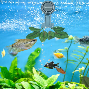 Aquarium with fish, plants, and a water quality monitor on a blue background at Pet Servo