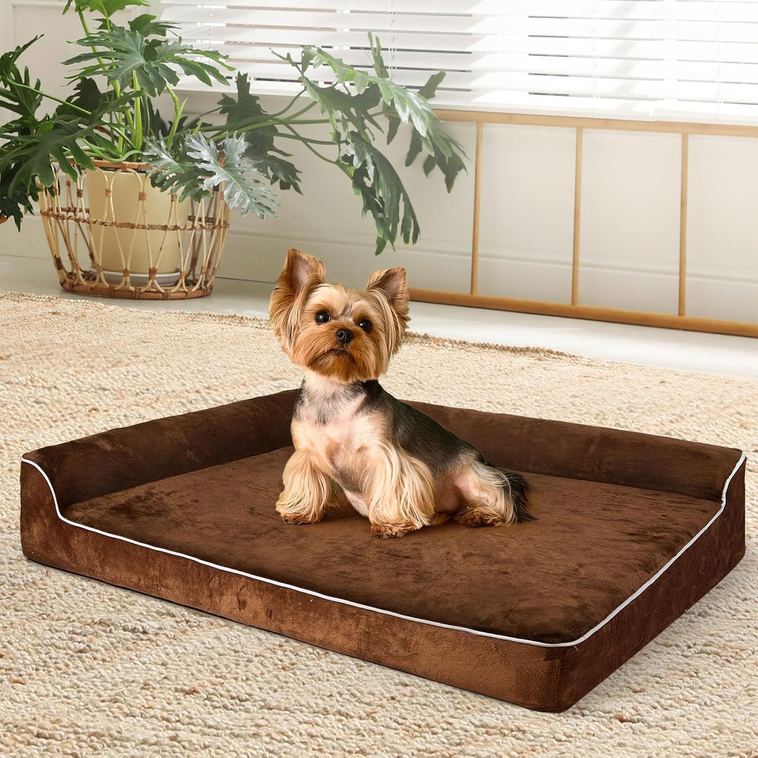 PaWz L-Shape Neck Support Velvet Orthopedic Dog Bed Sofa for Medium Dogs (Coffee) at Pet Servo