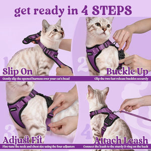Step-by-step guide on how to put on a purple cat harness and leash with a cat model at Pet Servo