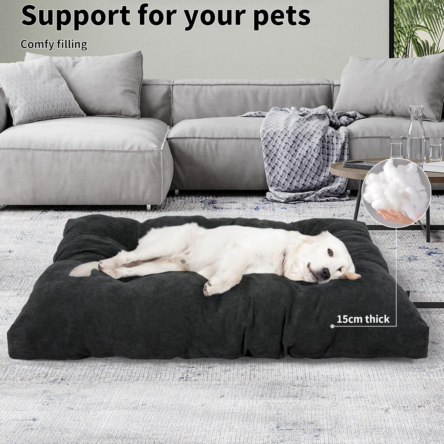 Dog lying on a large black pet bed in a living room setting with text about pet support and comfort at Pet Servo